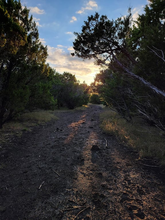 Mary Moore Searight Off Leash Trailhead