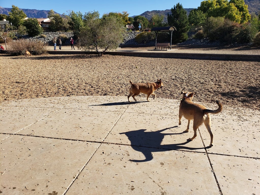 Skyline Dog Park