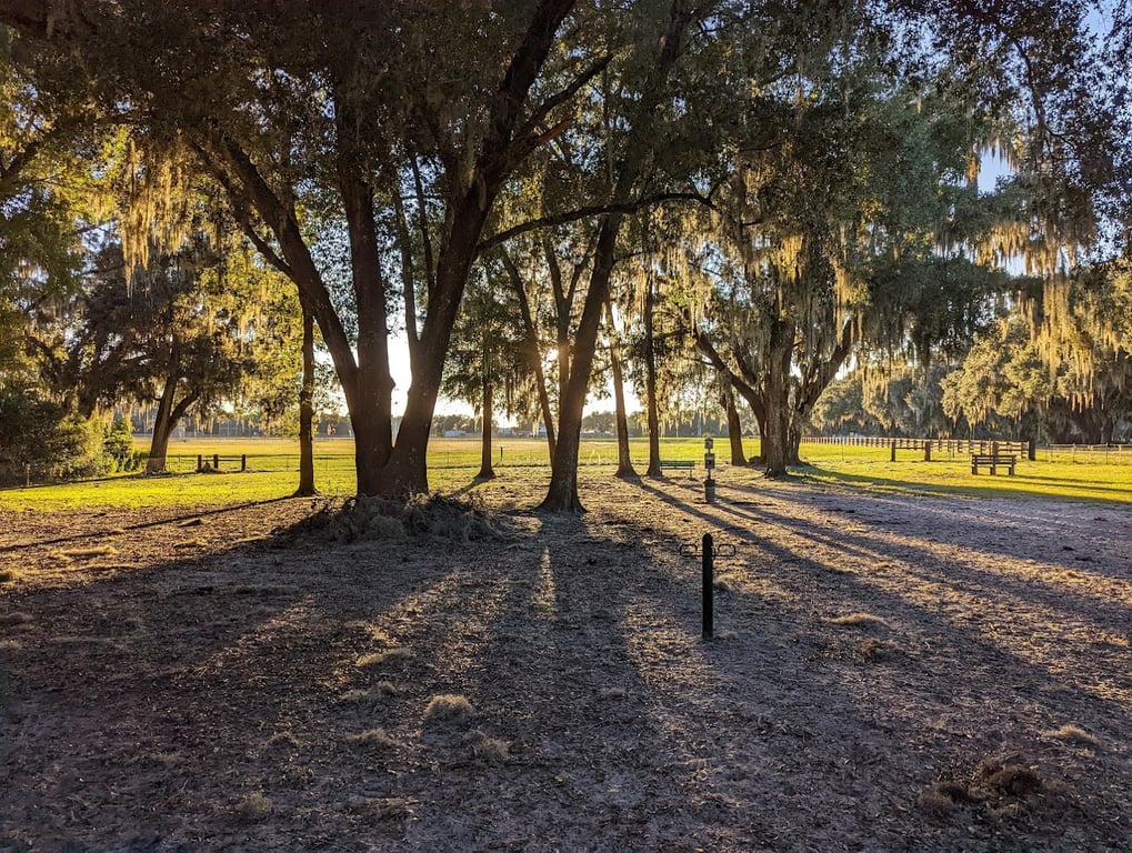 BarkPark of Wildwood