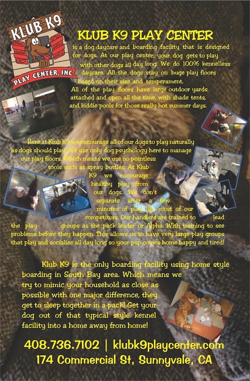 Klub K9 Play Center