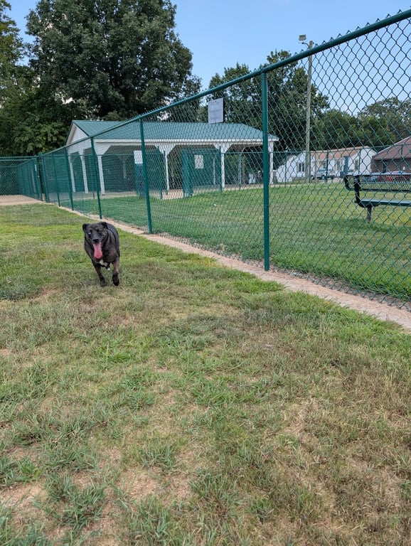 Midtown Dog Park