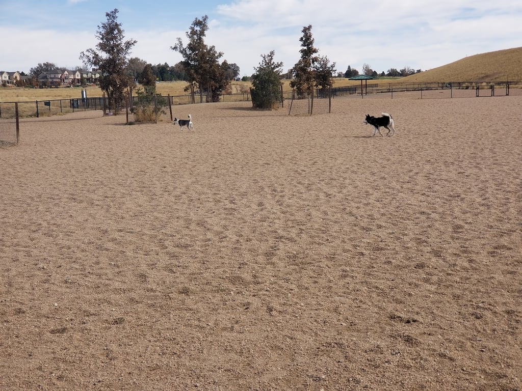 Lowry Dog Park