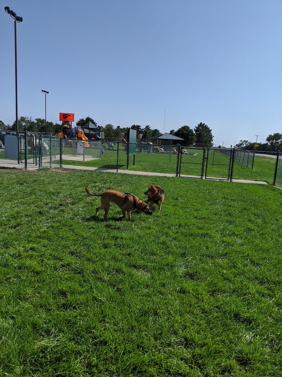 Oasis Travel Center Dog Park