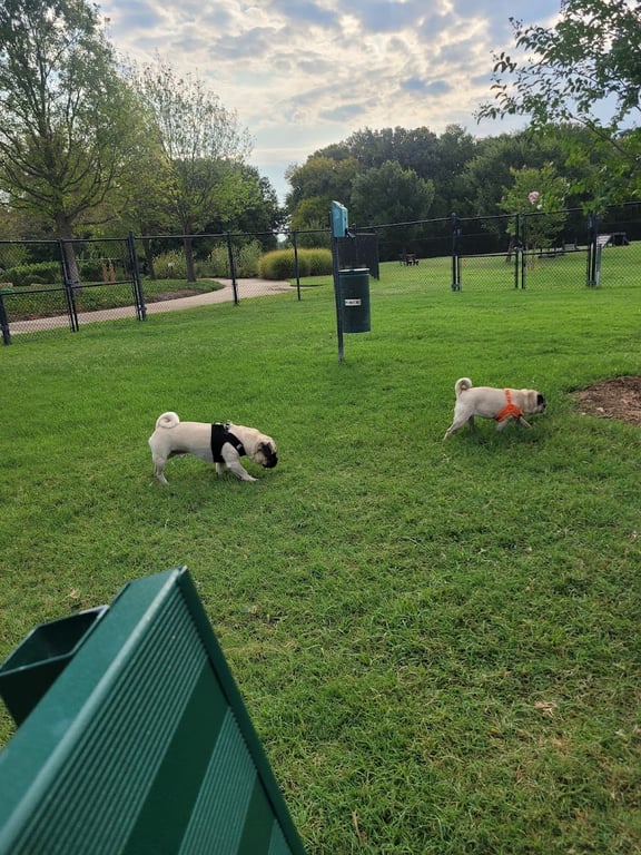 K9 Pointe Dog Park