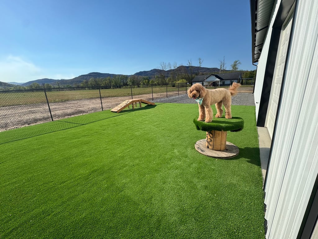 Molly’s Playground and Retreat