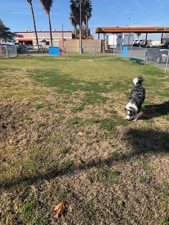 Love’s Dog Park