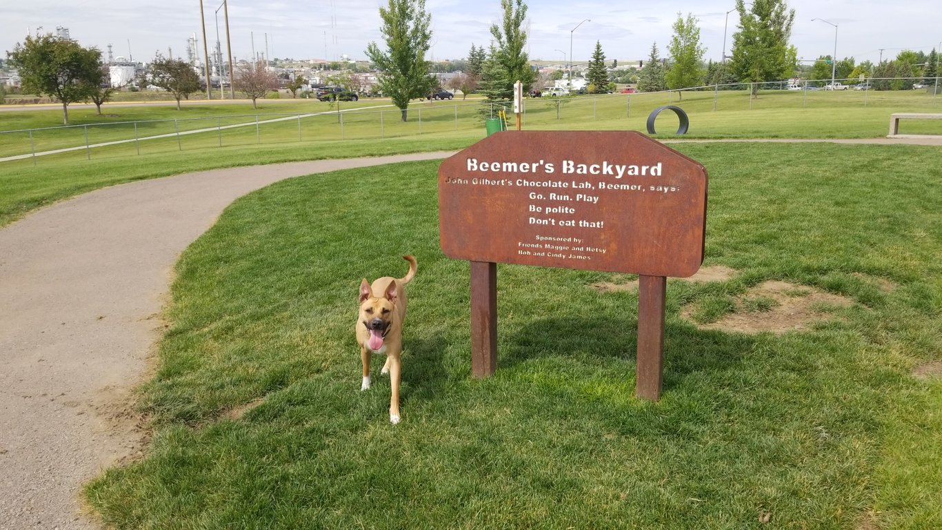 Pacific Steel & Recycling Trailside Dog Park