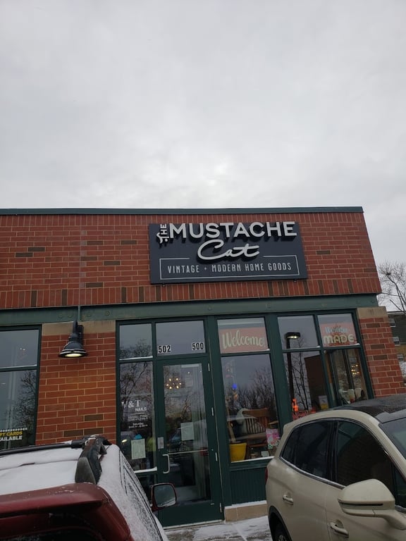 Photo of The Mustache Cat