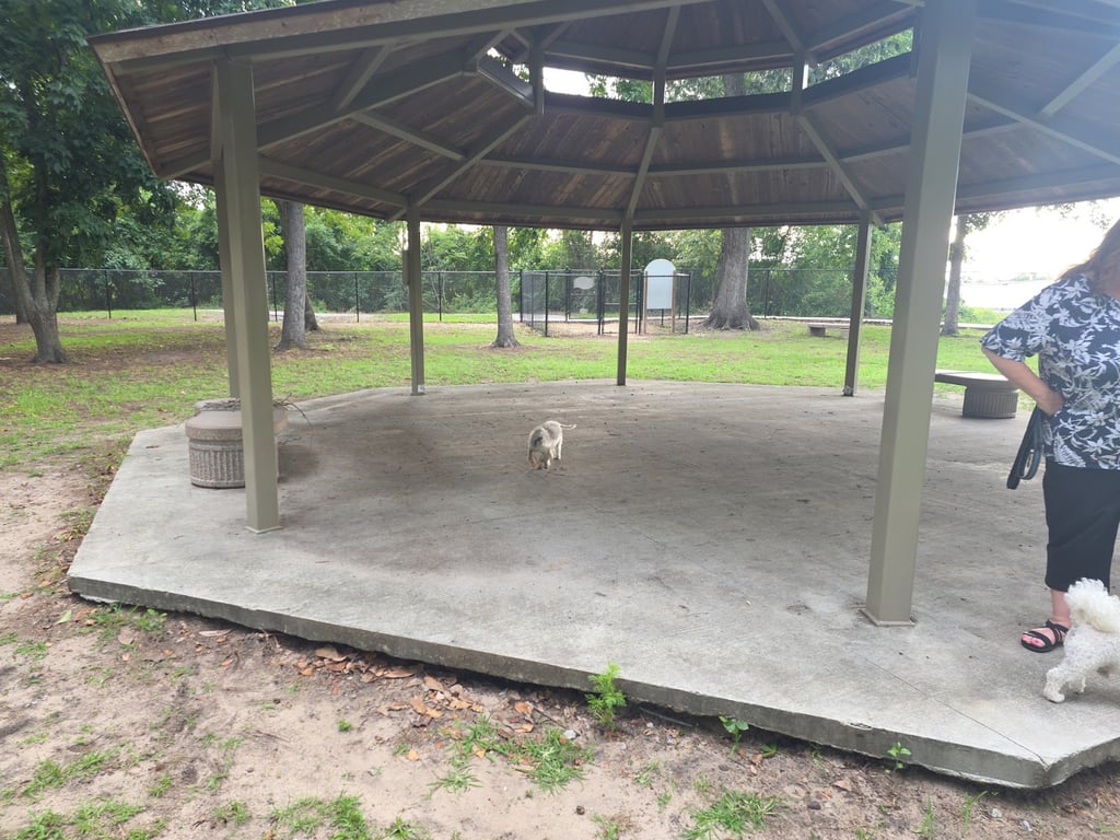 New Town Bark Park