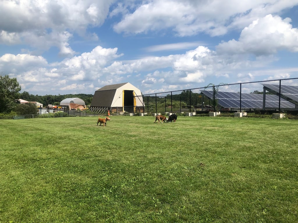 Cheshire Dog Park