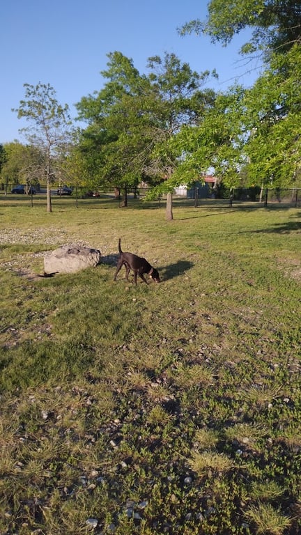 Salem Play Area for Canine Exercise (SPACE)