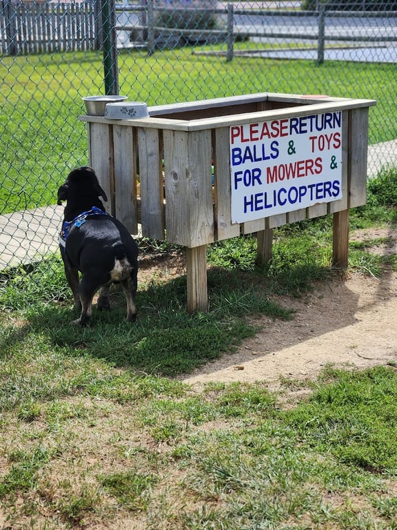 Barnegat Light Dog Park