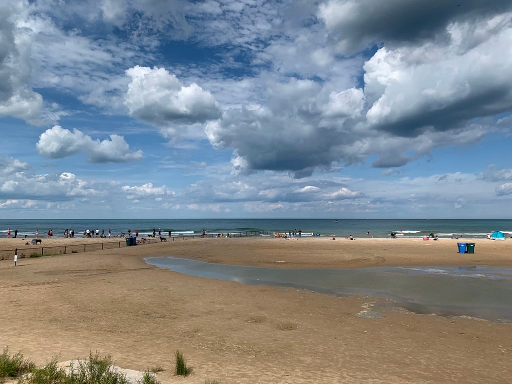 Montrose Dog Friendly Area