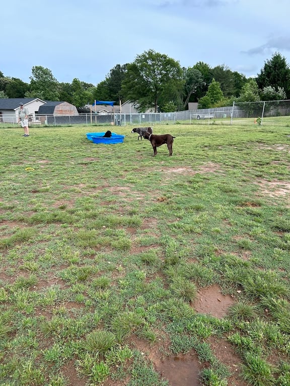 Edgewood Bark Park