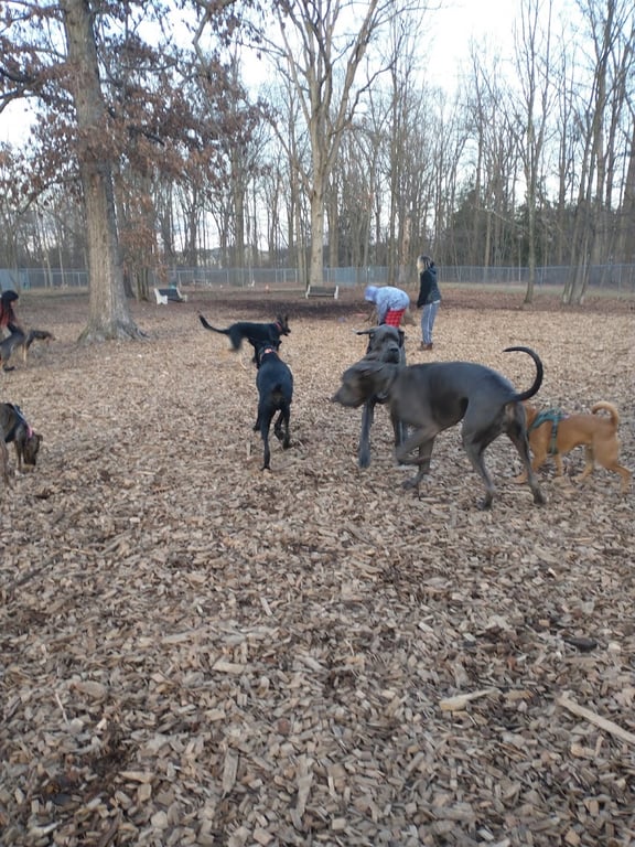 Montgomery Township Bark Park