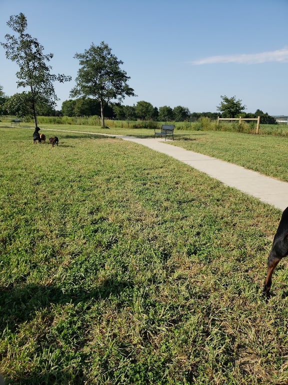 Mahoney Park Dog Run