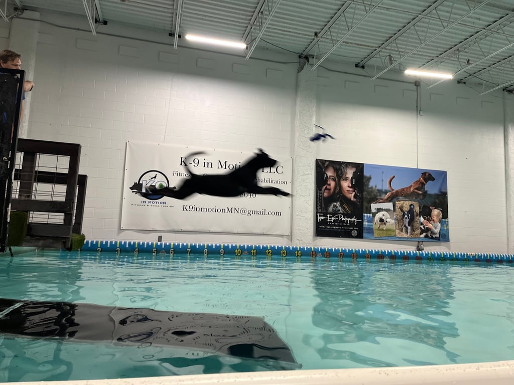 The Dog Tank