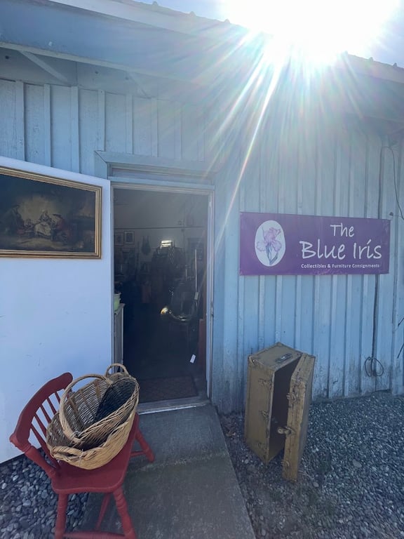 Blue Iris Vintage