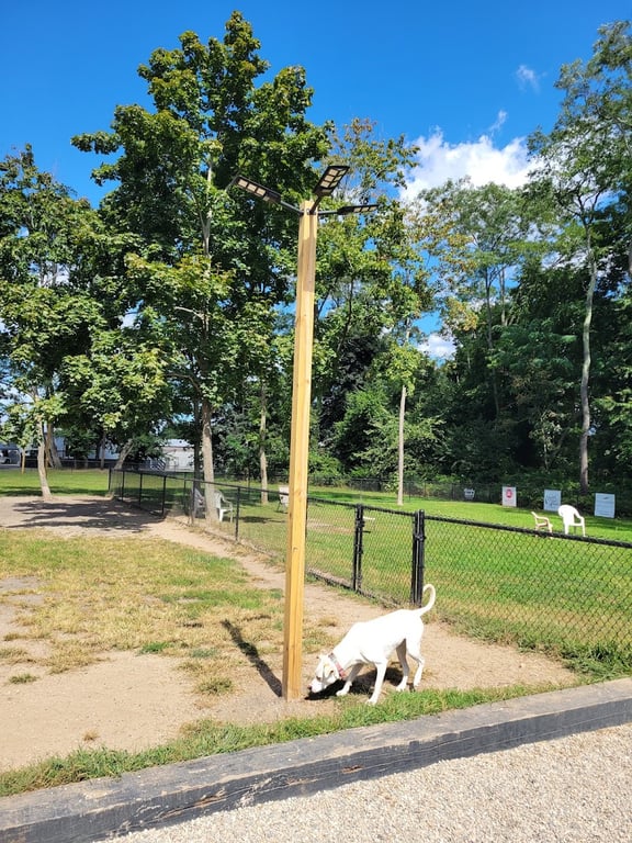 Warren Dog Park