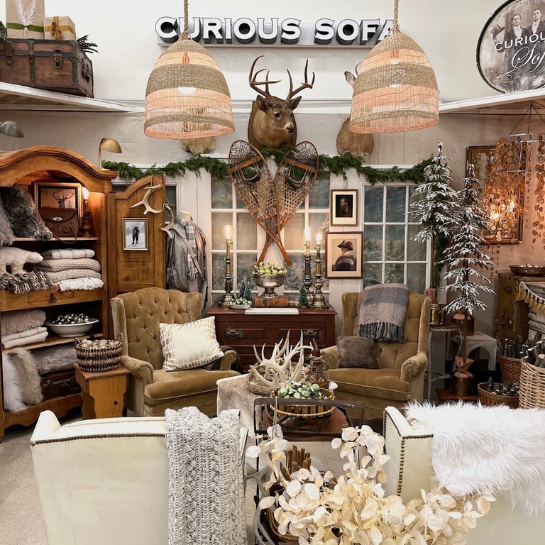 Photo of Curious Sofa