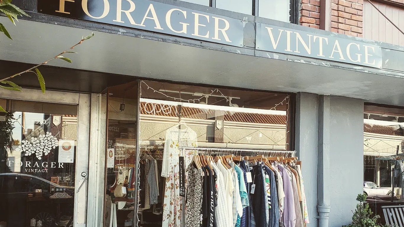Forager Vintage