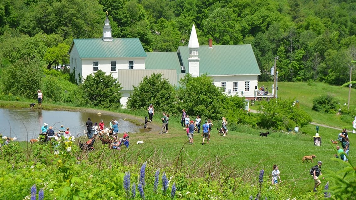 Dog Mountain, Home of Stephen Huneck Gallery