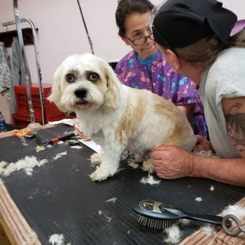 Emmy’s Pampered Pooch