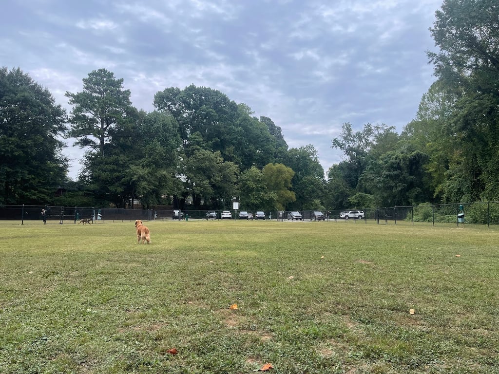 Burger Park