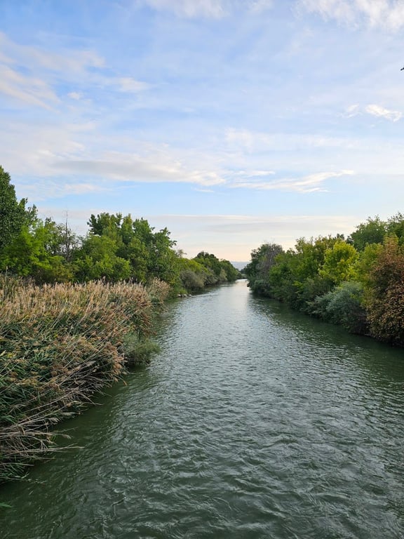 Millrace Off-Leash Dog Park