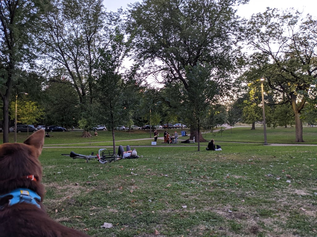 River Park Dog Friendly Area