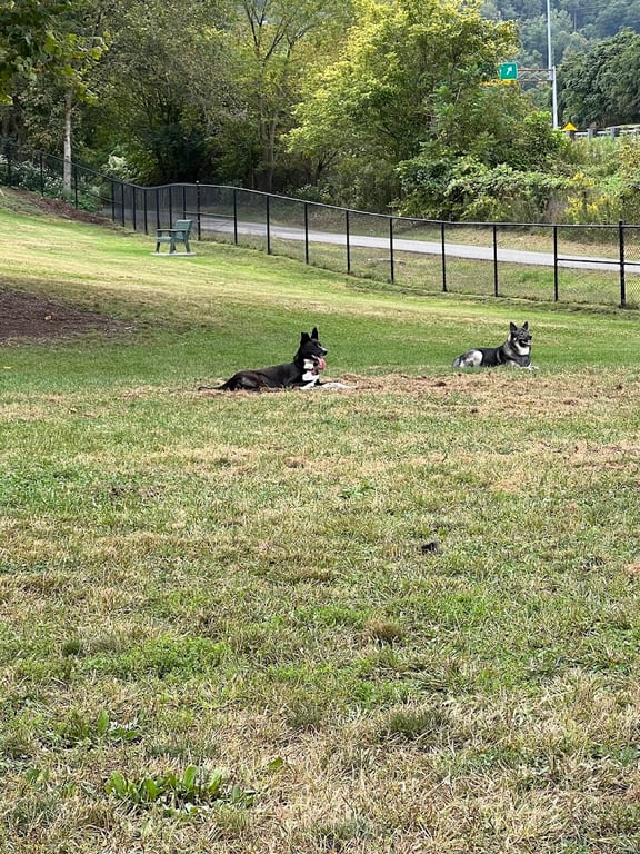 Fitzsimmons Family Dog Park