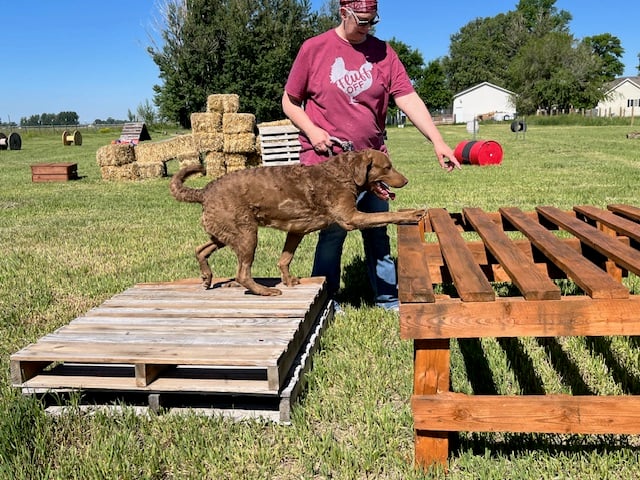 Idaho Barks and Recreation
