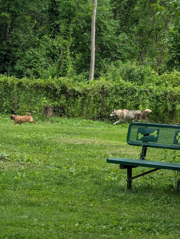 FIDO’s Backyard