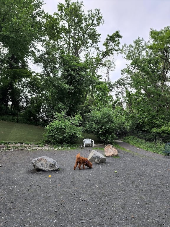 Takoma Park Dog Park