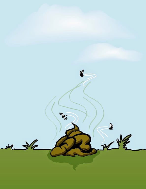 Got Poo…? Pet Waste Removal & Pet Services