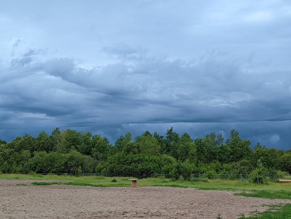 Jean Duluth Dog Park