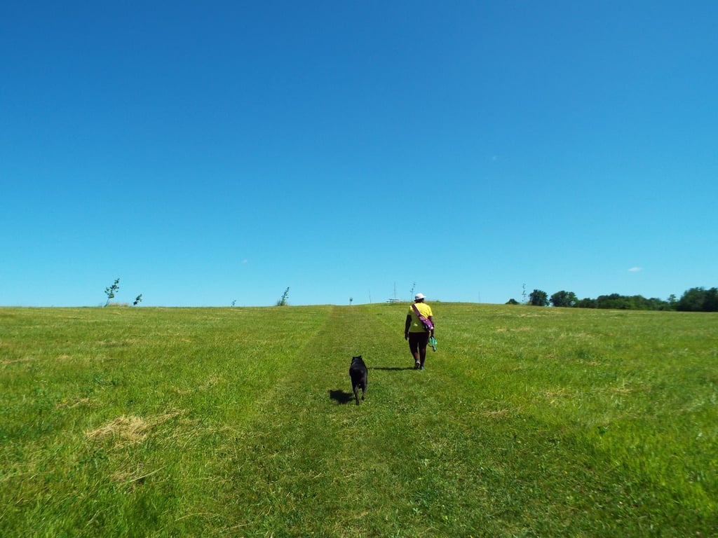 Token Creek Dog Park