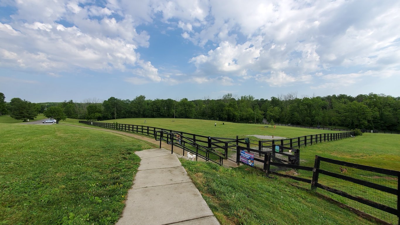 Jacobson Park Dog Park