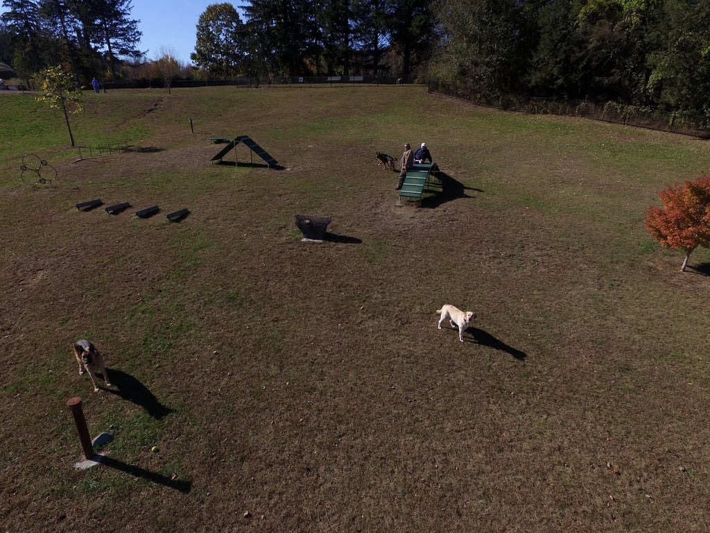 Newtown Park & Bark