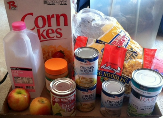 North Anoka County Emergency Food Shelf (NACE)