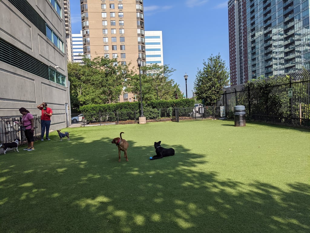 Newport Dog Park