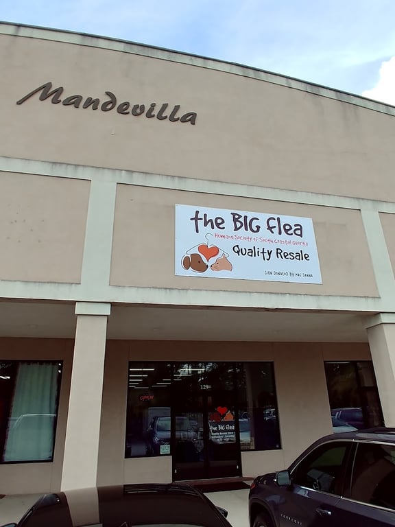 Photo of The Big Flea
