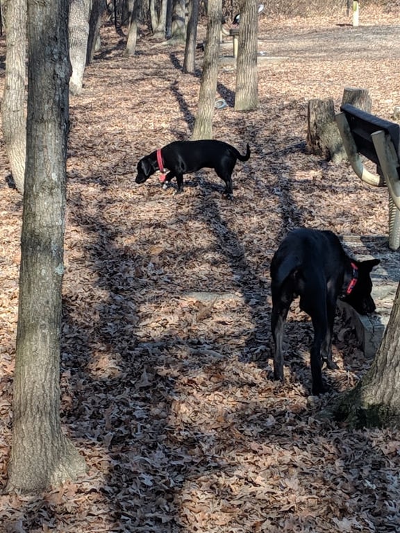 South Run Rec. Center Dog Park