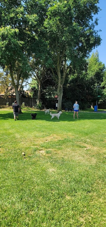 Walnut Park Unfenced Offleash Dog Area