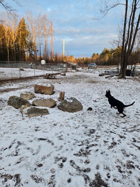 Lezama Family Happy Tails Dog Park