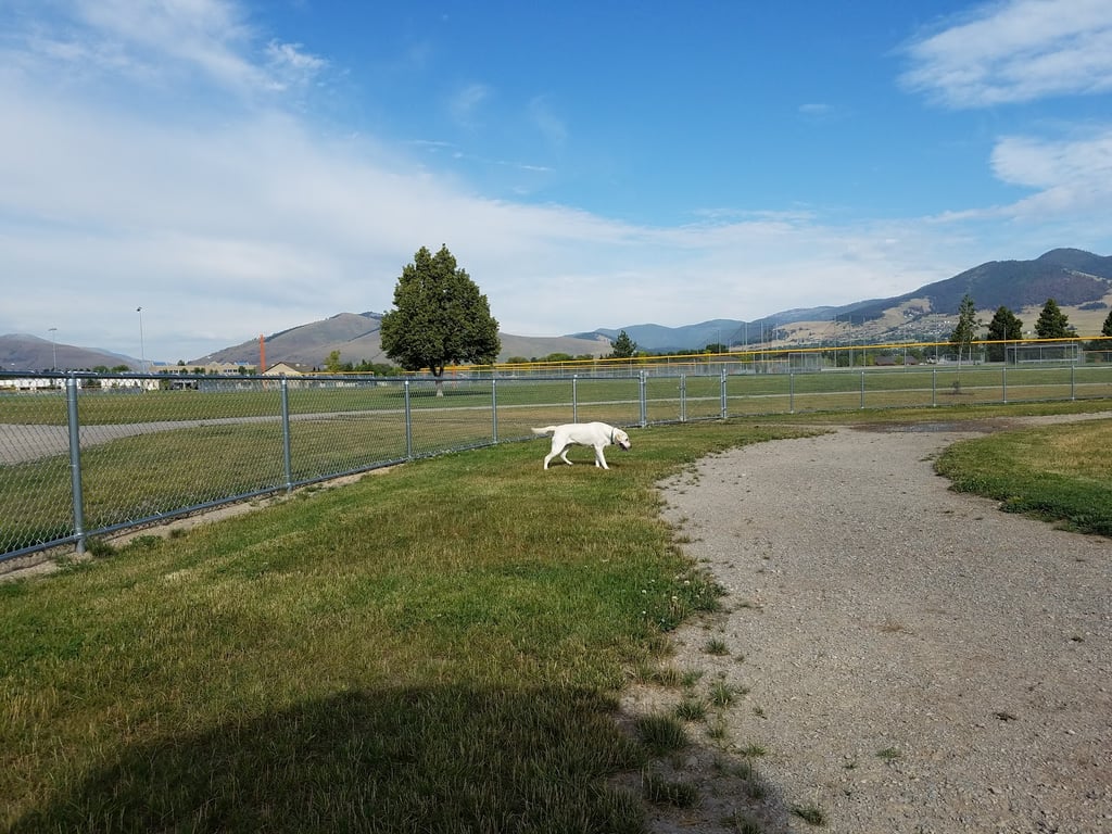 Fort Missoula Canine Campus