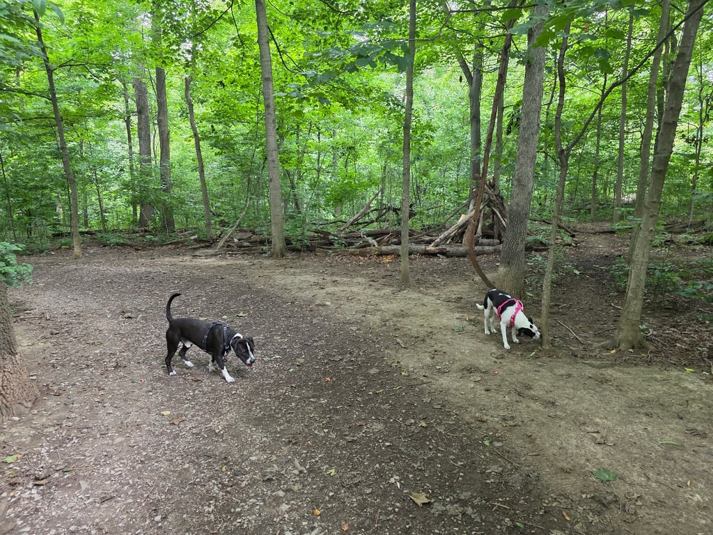 Bark Park: Off-Leash Dog Park & Nature Trail
