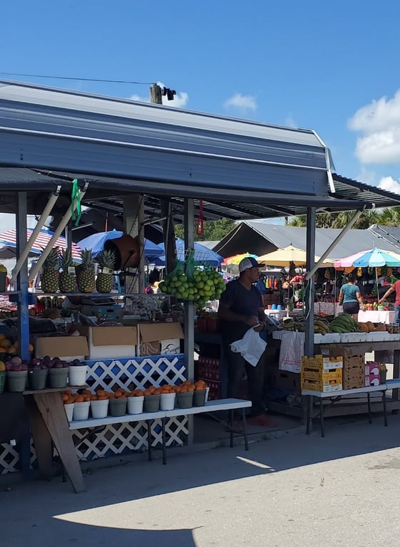 Flea Market of Ortiz Ave