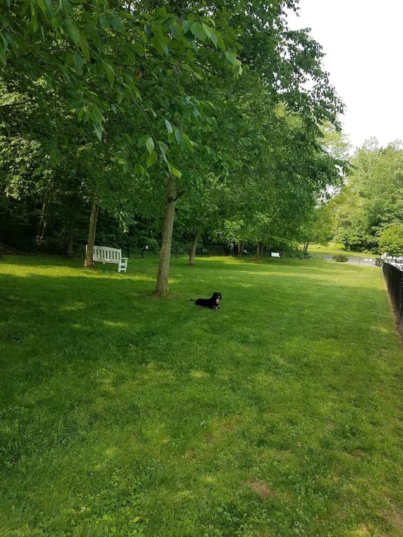 East Windsor Dog Park