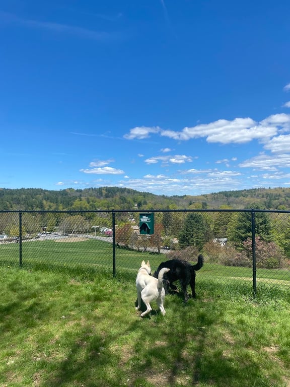 Brattleboro Dog Park